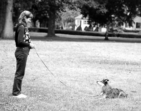 Why Force-Based Training Is Discouraged in Modern Dog Training