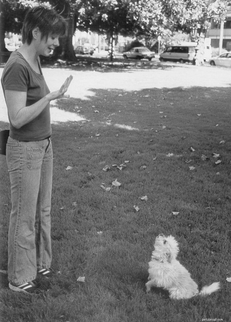 Master Dog Training: Hand Signal Techniques for Clear Communication