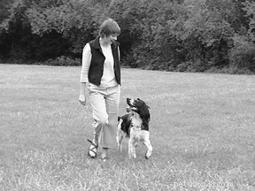 Master Prompt & Lure Fading: Advanced Dog Training Techniques
