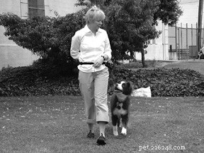 Master the Art of Leash Walking: Simple Steps to Train Your Dog to Walk Calmly by Your Side