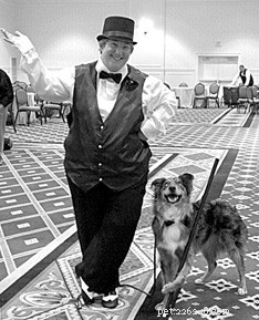 Canine Musical Freestyle: Elevate Your Dog s Performance and Bond
