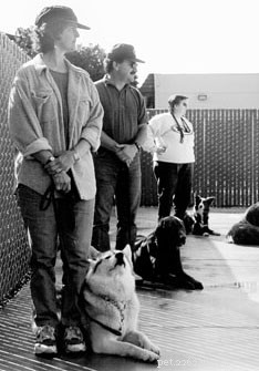 Dog Trainers Reveal How Men and Women Train Dogs Differently