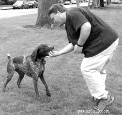 Tailored Dog Training: Understanding Gender Differences in Owners