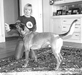 Master Dog Target Training: Focus, Calmness & Safety