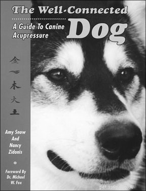 Boost Your Dog’s Performance: Expert Acupressure for Athletic Canines
