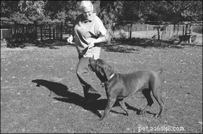Master Leash Walking with Target Training: A Proven, Positive Approach