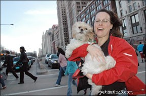 Engaging Dog Activities: Play, Training, and Community Fun