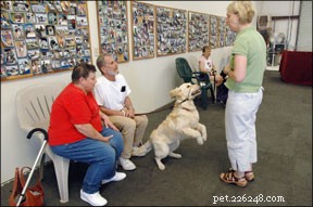 How to Teach Your Dog Proper Greetings: A Step-by-Step Guide