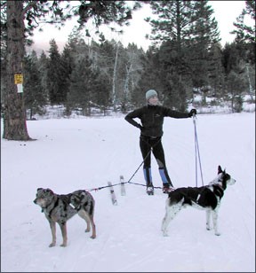 Snow Adventures: 10 Trusted Winter Activities to Share with Your Dog