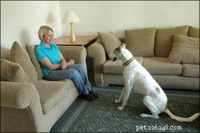 Boost Your Dog’s Reliability: Proven Training Techniques