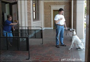 Boost Your Dog’s Reliability: Proven Training Techniques