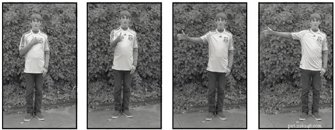 Mastering Dog Training: Hand Signals for Precise, Trustworthy Communication