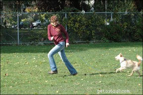 Mastering Reliable Recall: Training Your Dog for Instant Response