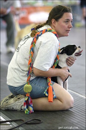 Thrilling Dog Sports: High-Energy Canine Competitions Explained