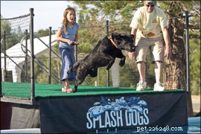 Dock Jumping for Dogs: A Comprehensive Guide to Competitive Dock Diving