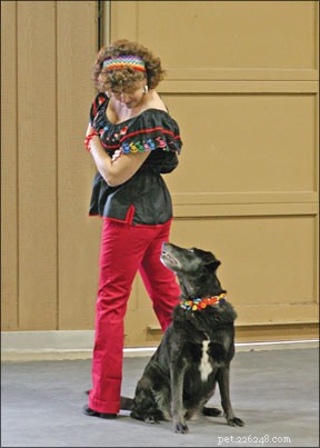 Harmony on the Floor: Musical Freestyle Dog & Handler Showcase