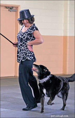 Harmony on the Floor: Musical Freestyle Dog & Handler Showcase