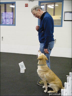 Master Rally Obedience: Training Your Dog for Success