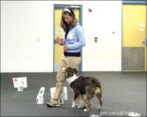 Master Rally Obedience: Training Your Dog for Success