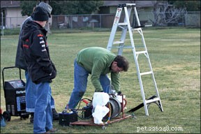 Lure Coursing: How to Know If Your Dog Is Ready for the Chase