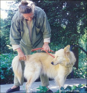 Tellington TTouch: Effective Bodywork for Dog Health & Behavior