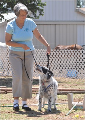 Tellington TTouch: Effective Bodywork for Dog Health & Behavior