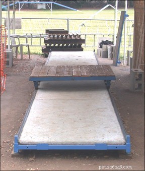 Dog Weight Pulling: A Proven Strength Test for All Breeds