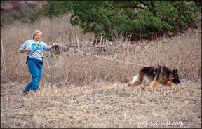 Dog Tracking: A Guided Scent-Tracking Sport for All Breeds