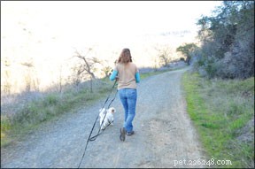 How to Choose the Ideal Leash Length for Every Training Scenario
