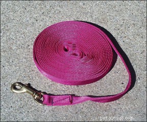 How to Choose the Ideal Leash Length for Every Training Scenario