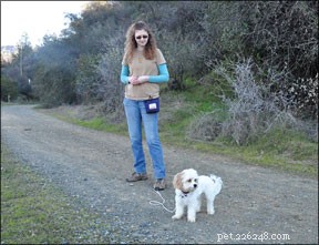 From On‑Leash Training to Off‑Leash Reliability: A Proven Path for Dog Owners