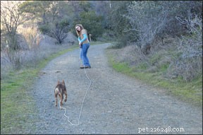 From On‑Leash Training to Off‑Leash Reliability: A Proven Path for Dog Owners