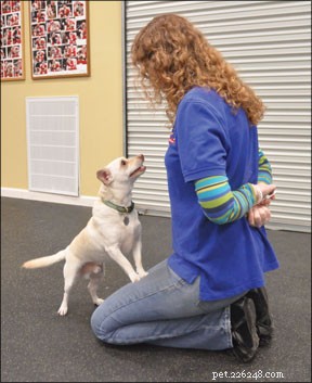 Why Your Dog’s Name Is Crucial for Training Success