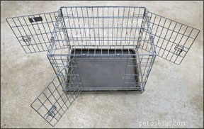Early Crate Training: Proven Benefits for Your Dog’s Safety, Comfort, and Obedience