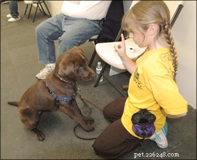 Maximize Your Puppy’s Success: Expert Tips for Puppy Kindergarten