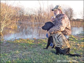 Positive Training for Hunting Dogs: Build Strong Bonds & Superior Performance