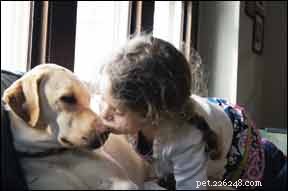 How Autism Assistive Dogs Transform Lives of Children with Autism