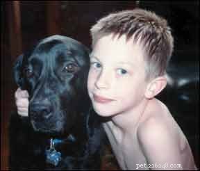 How Autism Assistive Dogs Transform Lives of Children with Autism