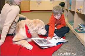 How Autism Assistive Dogs Transform Lives of Children with Autism