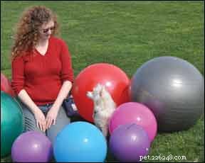 Juneau s Story: A Joyful Journey with a Happy Deaf Dog