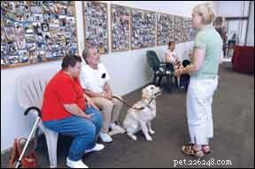 How to Become a Certified Professional Dog Trainer