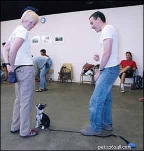 How to Become a Certified Professional Dog Trainer