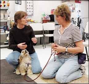 How to Become a Certified Professional Dog Trainer