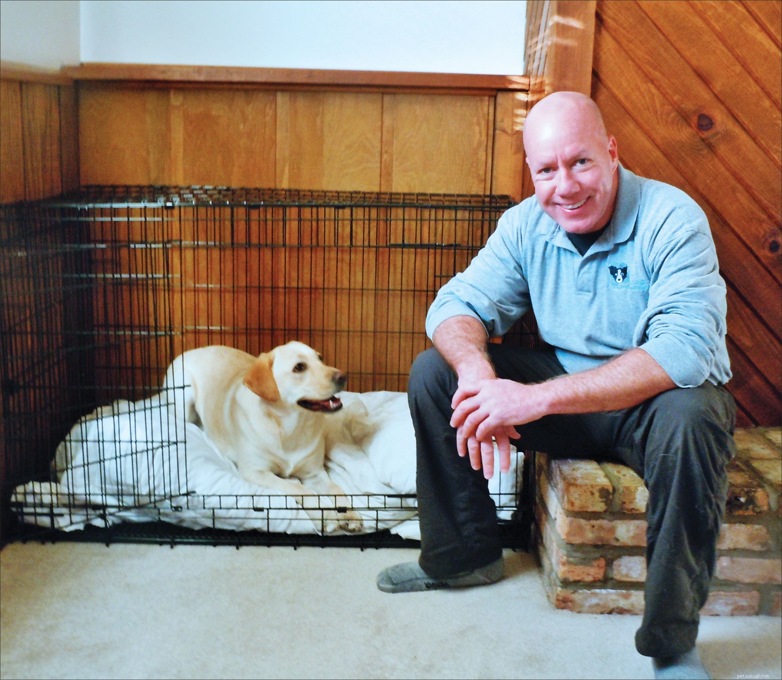 The Most Critical Dog Training Skill: Why ‘Wait’ Tops the List