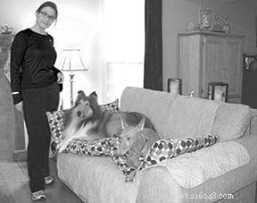The Most Critical Dog Training Skill: Why ‘Wait’ Tops the List