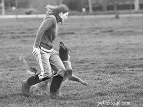 Achieving Victory in Obedience Trials