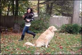 Morning Routine: Keeping Your Dog Safe and Happy