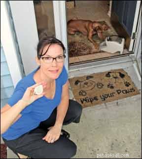 Morning Routine: Keeping Your Dog Safe and Happy