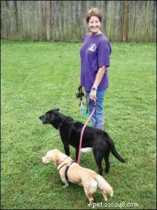 Master Loose Leash Walking: A Step‑by‑Step Guide for Calm, Controlled Dog Walks