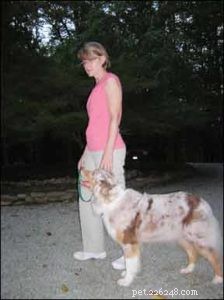 Master Loose Leash Walking: A Step‑by‑Step Guide for Calm, Controlled Dog Walks